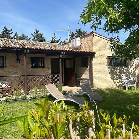 Apartament La Capparuccia Civitanova Marche Zewnętrze zdjęcie