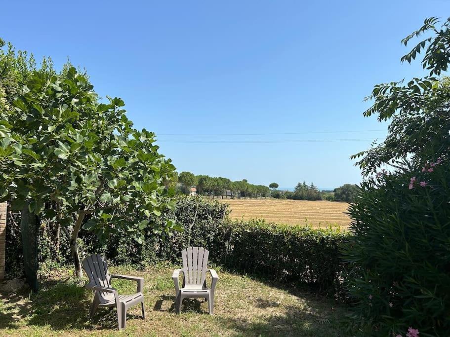 Apartament La Capparuccia Civitanova Marche Zewnętrze zdjęcie