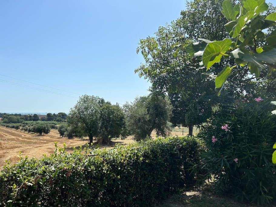 Apartament La Capparuccia Civitanova Marche Zewnętrze zdjęcie